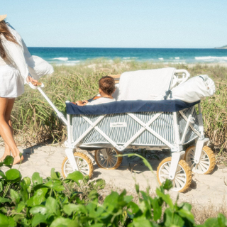 Beach Cart - Laurens Navy Stripe