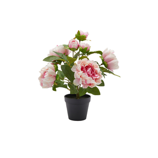 Artificial Peonia Flowers