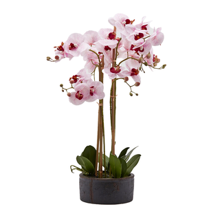 Artificial Orchid Flowers