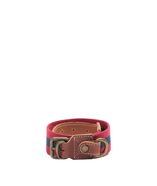Dog Collar Large