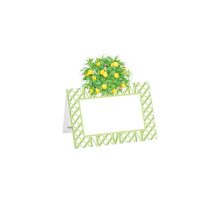 Citrus Topiaries Place Cards (Pack of 8)