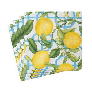 
                  
                    Load image into Gallery viewer, Seville Paper Luncheon Napkins 20pcs
                  
                