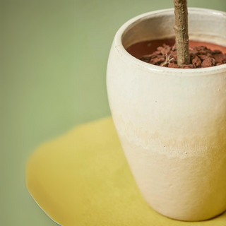 Ceramic Pots Ochre