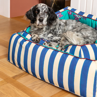 Pet Bed Large