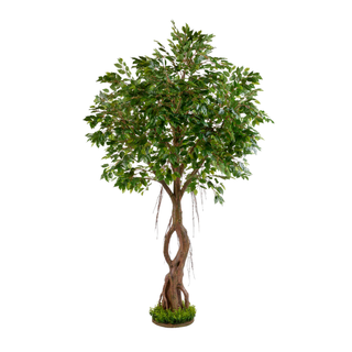 Artificial Ficus Tree 245cm