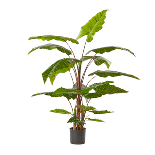 Artificial Alocasia Plant 170cm