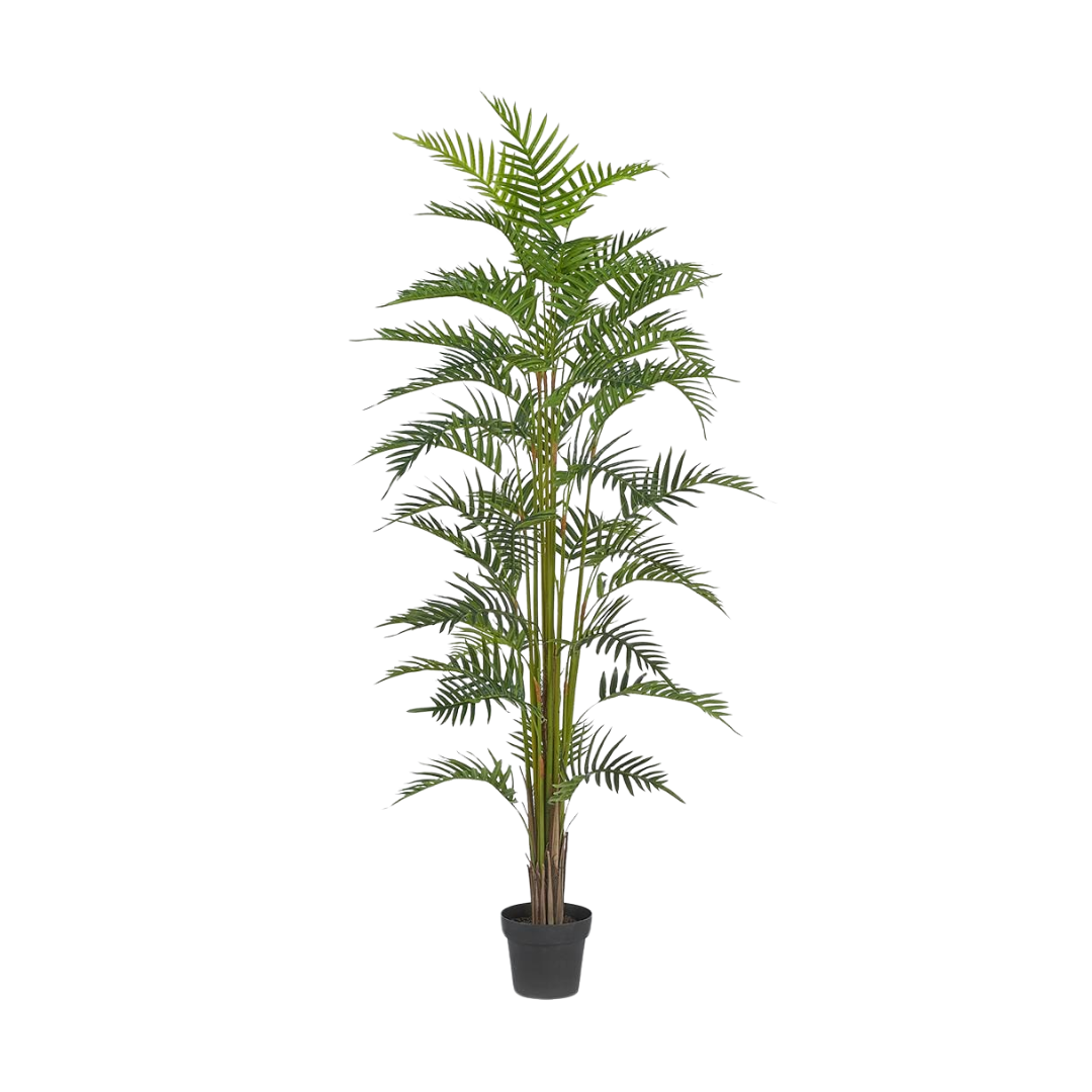 palma areca png Artificial Palma Areca Plant 180cm – The House Shop