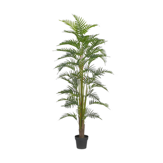 Artificial Palma Areca Plant 180cm