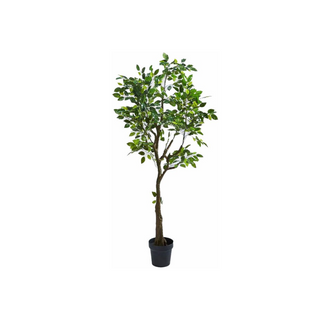 Artificial Ficus Plant 138cm