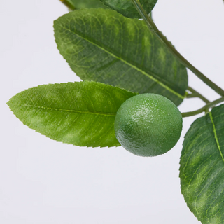 Artificial Lemon Plant 56cm