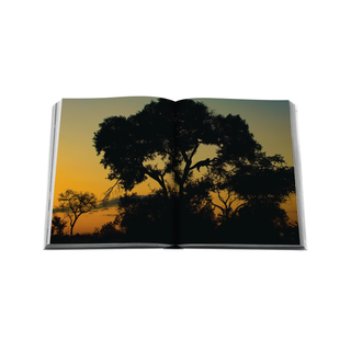 Londolozi: The Safari that Changed Everything