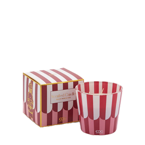 
                  
                    Load image into Gallery viewer, Candela Cupcake
                  
                