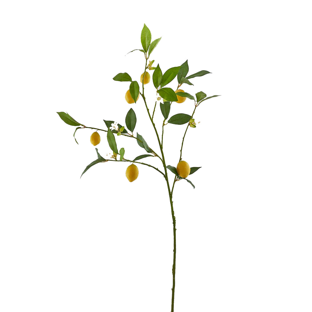 Artificial Lemon Plant