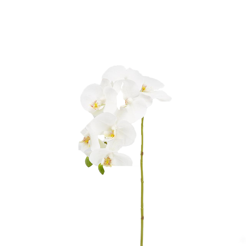 Artificial Orchidea Phalaenopsis Plant
