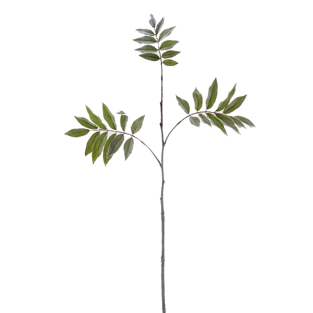 Artificial Ailanthus Plant