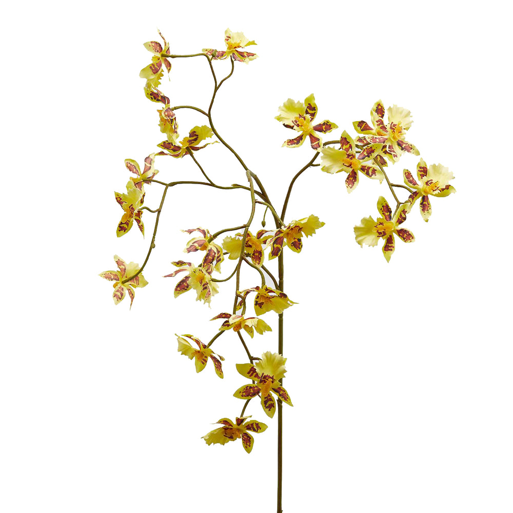 Artificial Orchidea Oncidium Plant
