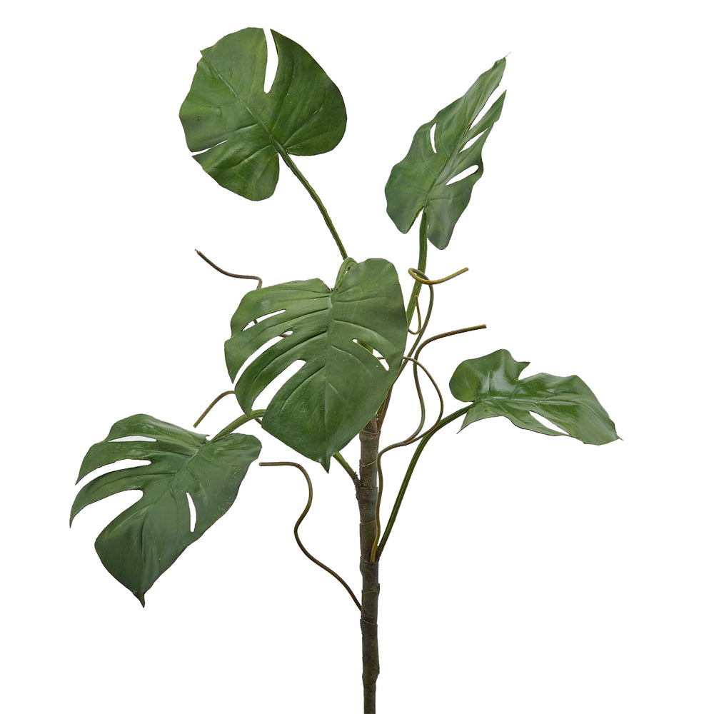 Artificial Monstera Duke Plant