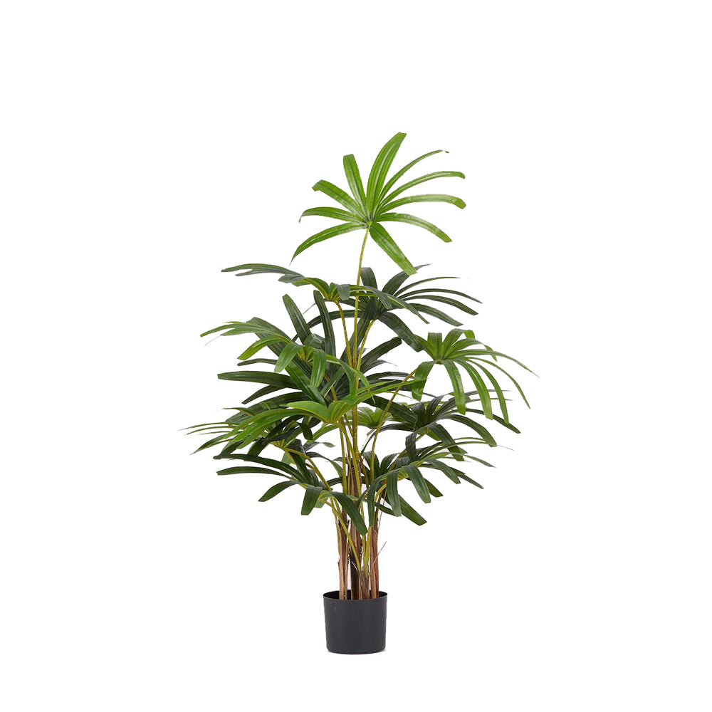 Artificial Palma Rapisgracilis C/Vaso Plant