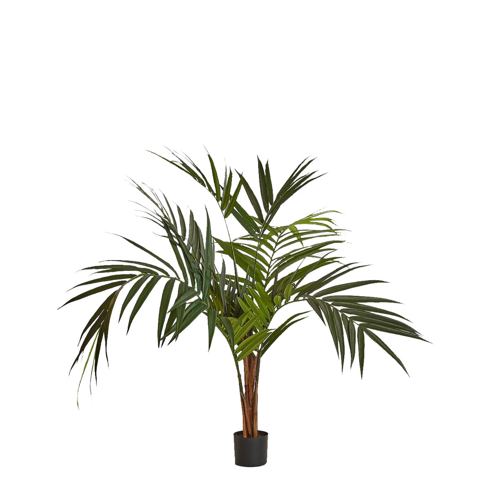 Artificial Palma Kenzia Pianta C/Vaso Plant