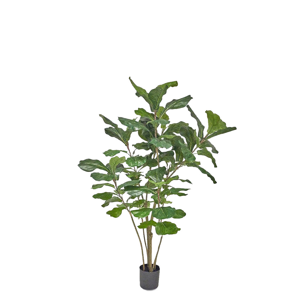 Artificial Lyrata C/Vaso Plant